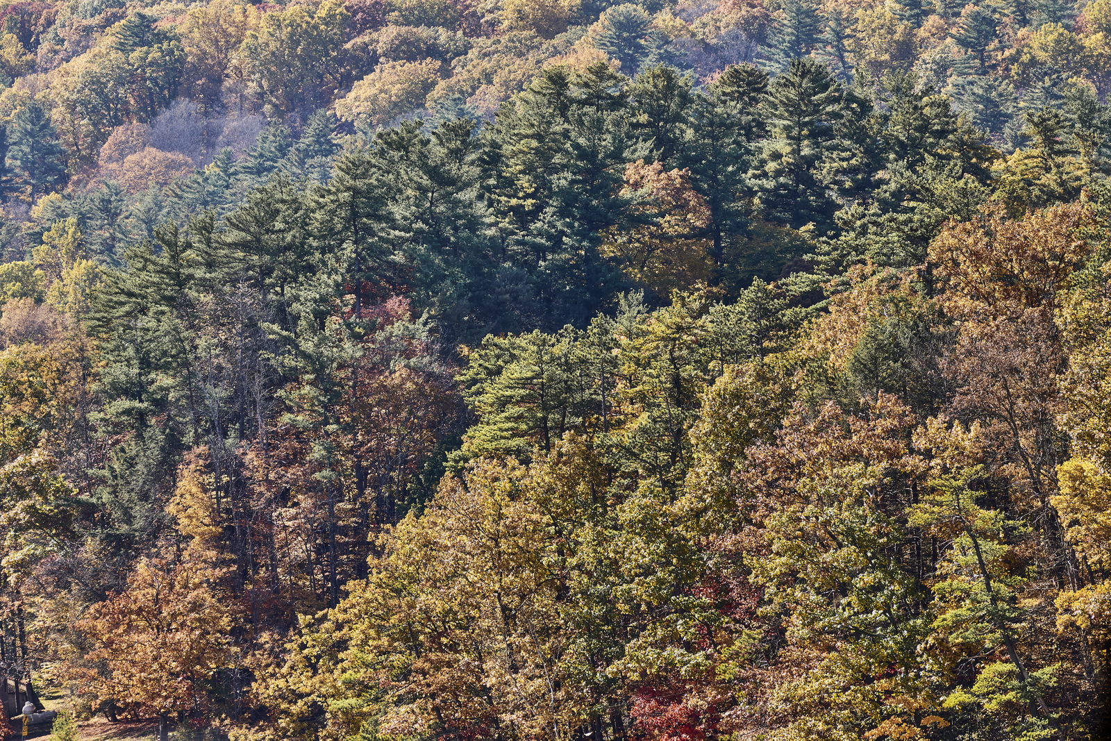 Indian Summer, Letchworth State Park, NY, USA